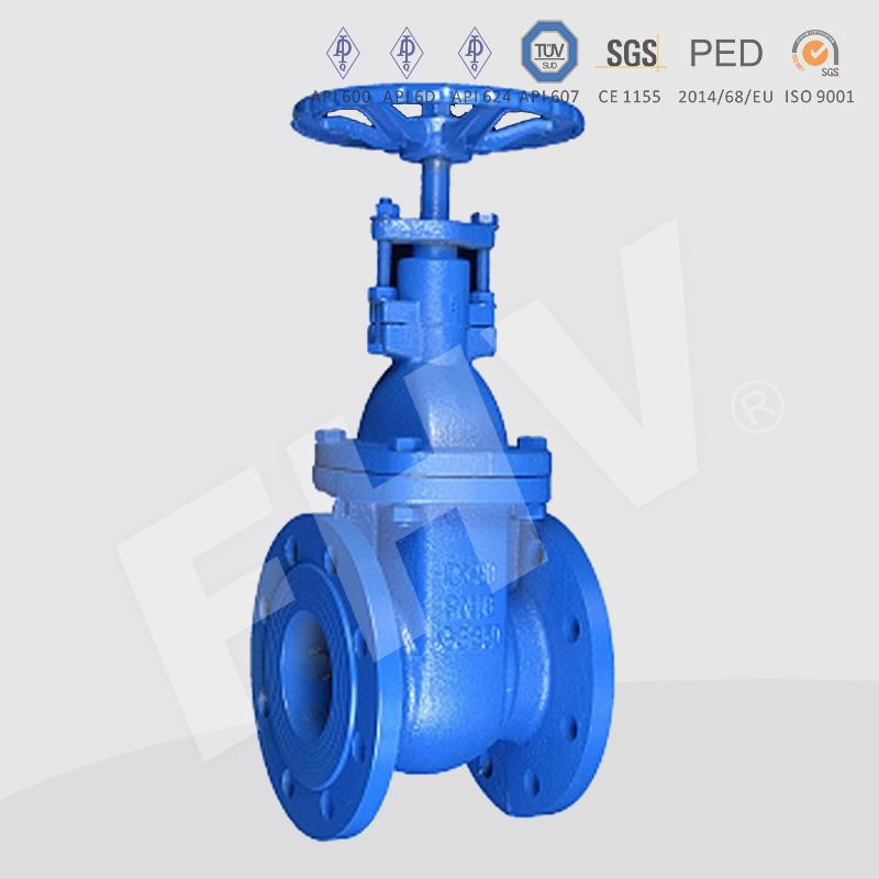 DIN Standard Gate Valve