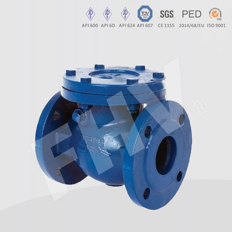 DIN Standard Check Valve