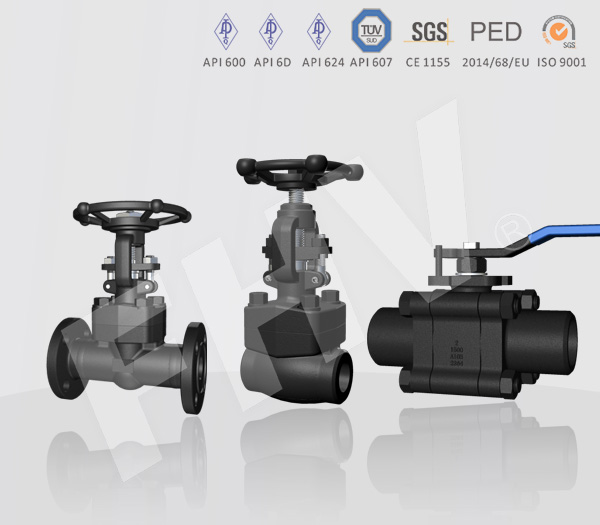 Compact Forged Steel Valves