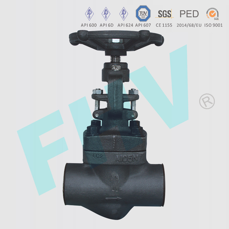 Forged Steel Globe Valve